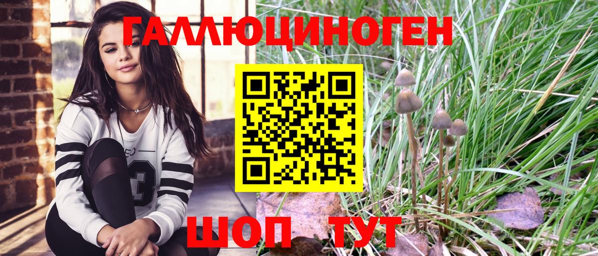 Галлюциногенные грибы Cubensis  Вход с VPN  что такое наркотик  Ессентуки 