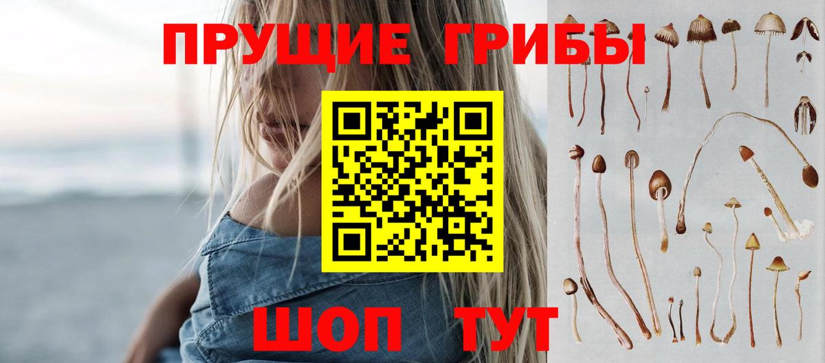 Галлюциногенные грибы Psilocybine cubensis Ессентуки