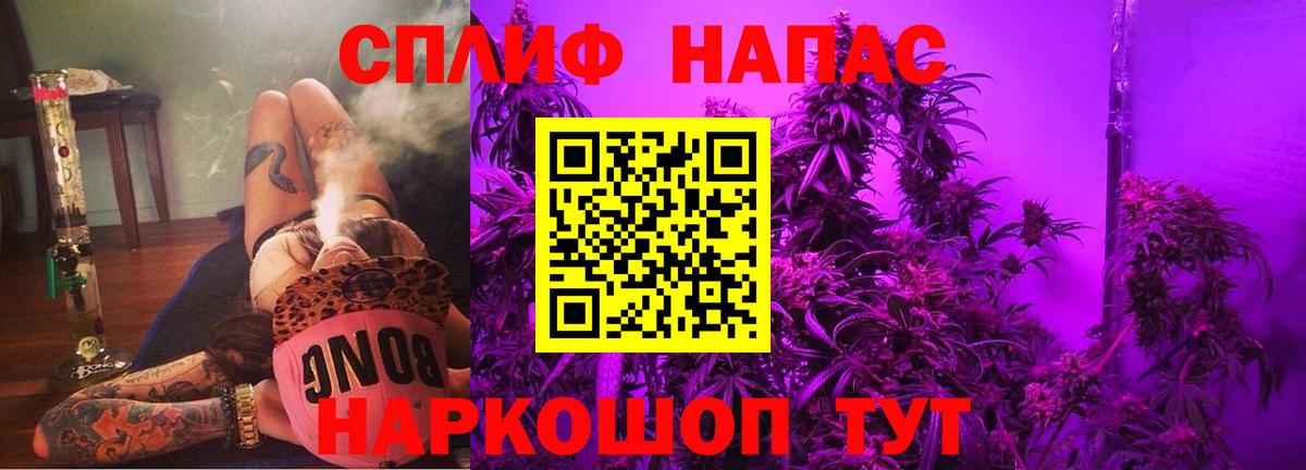 Конопля план Ессентуки